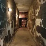 BerlinSkinWeekend2024_GuidedTour-2